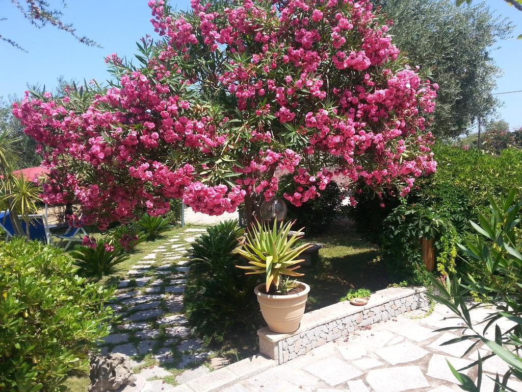 Antico Casolare Sorso-Tourist Rental Exterior photo